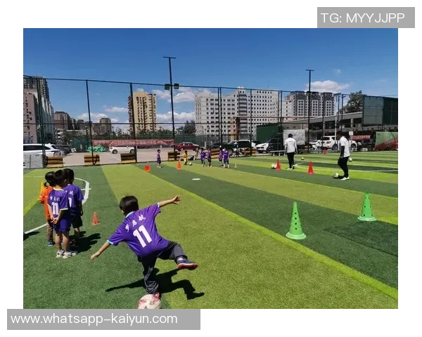 探索自由足球狐狸视频的魅力与技巧,带你领略足球的无限可能与乐趣 探索自由足球狐狸视频的魅力与技巧,带你领略足球的无限可能与乐趣